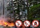 В лесах Архангельской области растут классы пожарной опасности